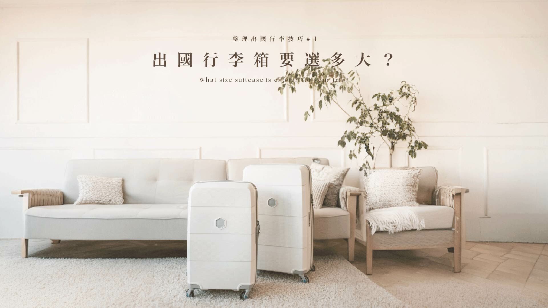 大小行李箱示意圖
