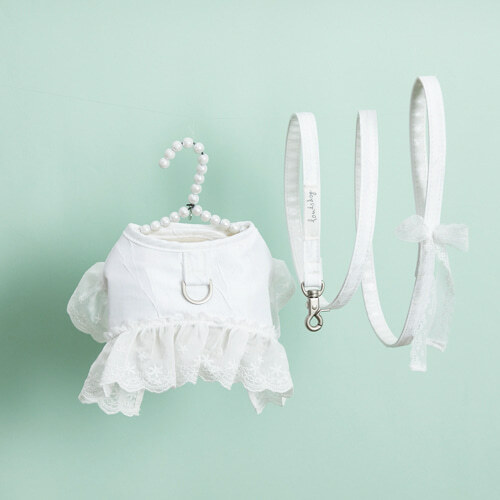 Louisdog 一起散步去胸背 (小白花)