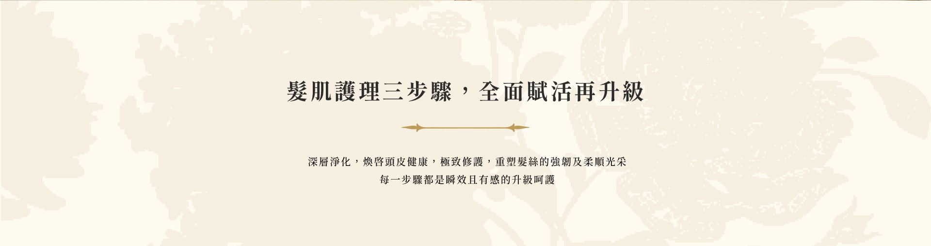 髮肌護理三步驟，全面賦活再升級