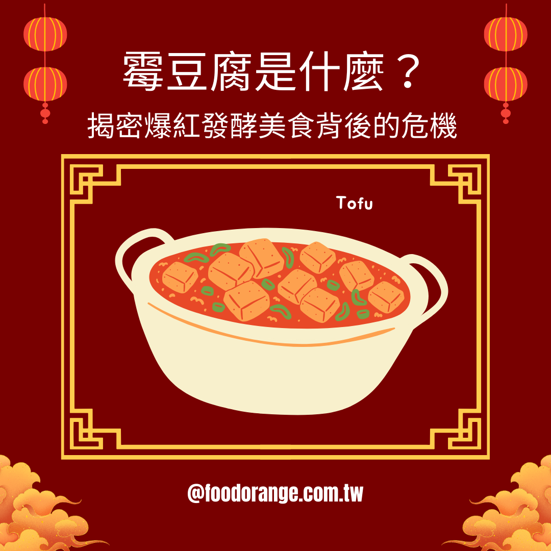 霉豆腐是什麼？揭密爆紅發酵美食背後的危機 🧊