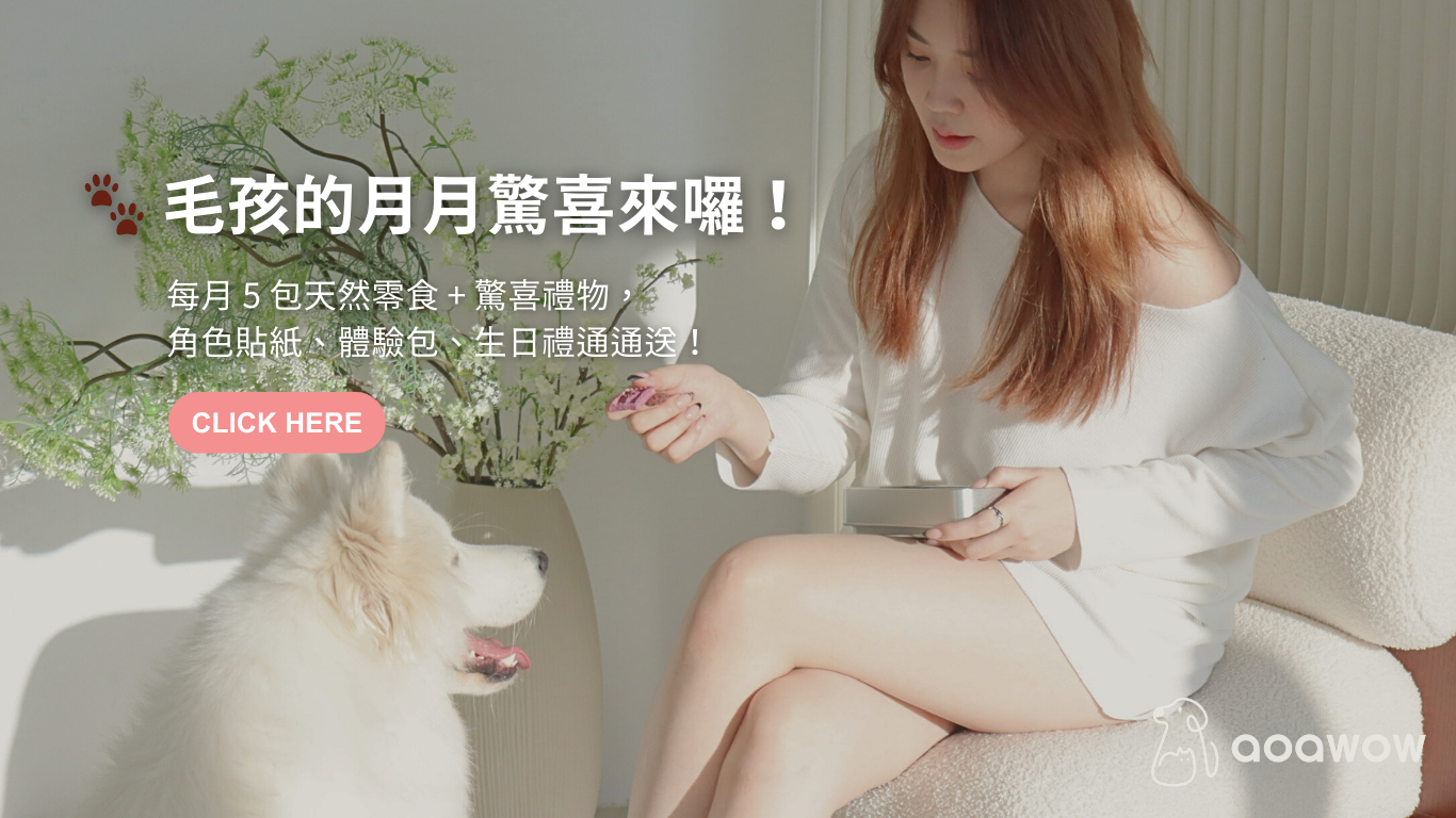 monthly-box-for-dogs-cats