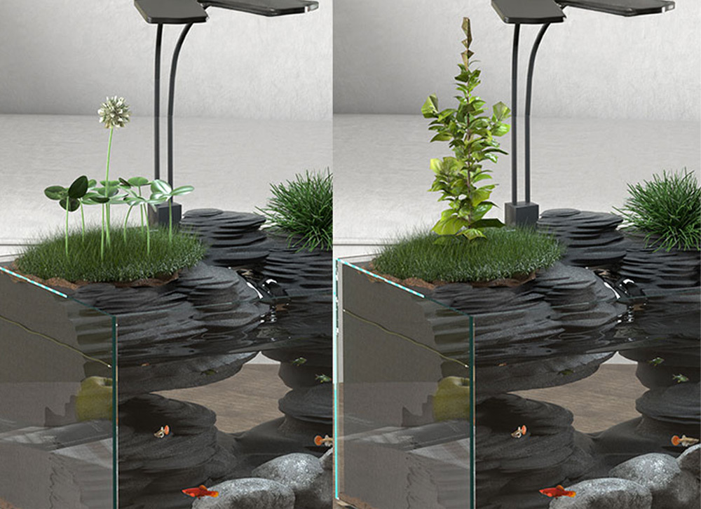 附設水培區域，支持DIY種植水培植物，實現魚菜共生，增添養魚樂趣與生態多樣性