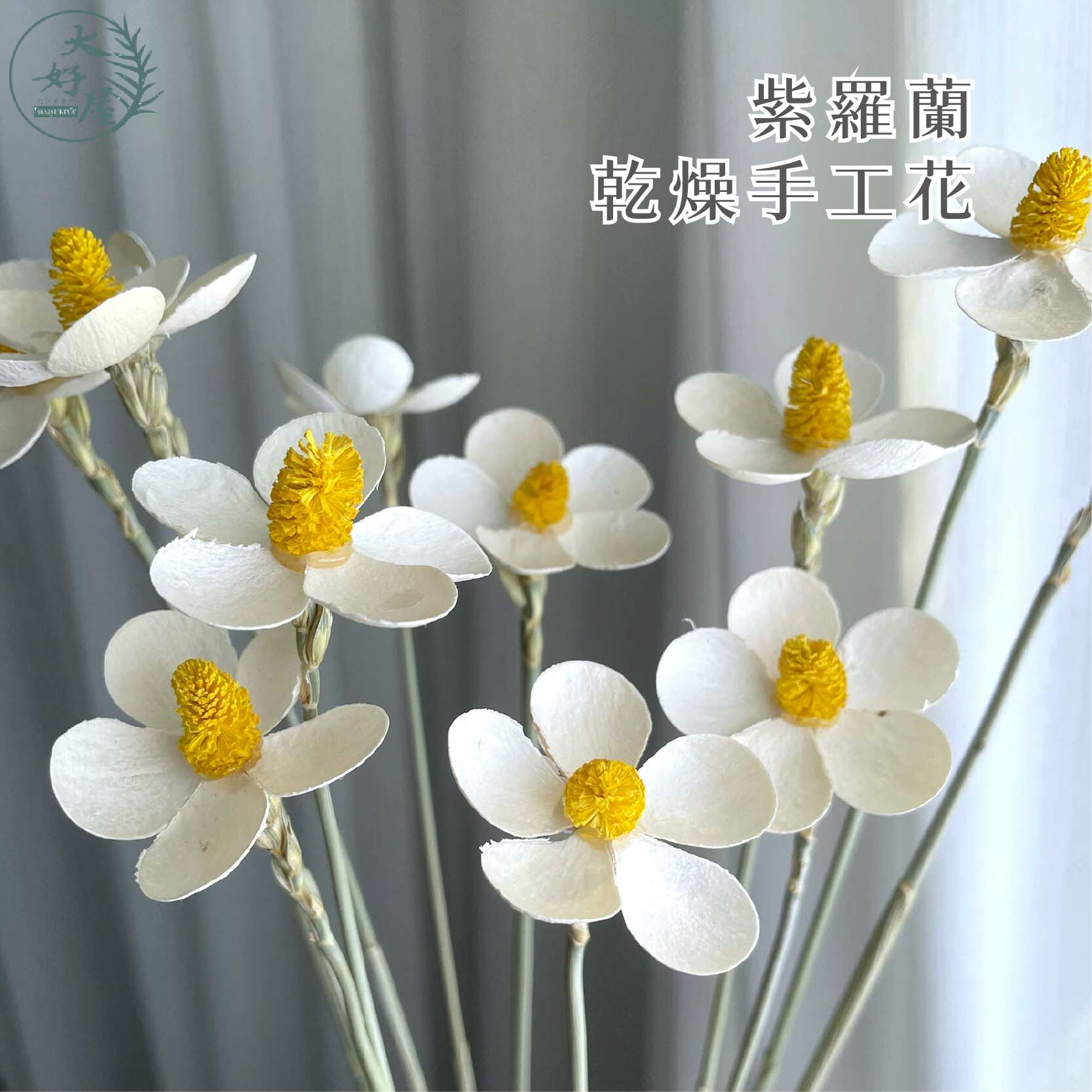 紫羅蘭乾燥手工花【約10~12朵裝】