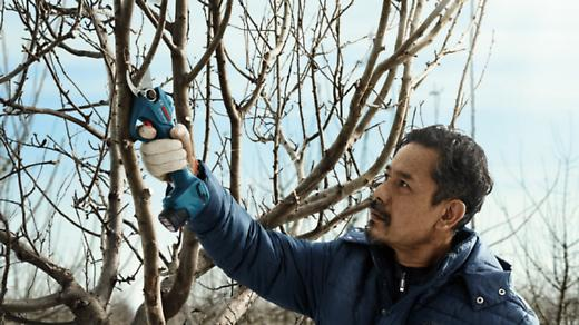 BOSCH 博世 Pro Pruner 12V 鋰電 無線 剪枝機
