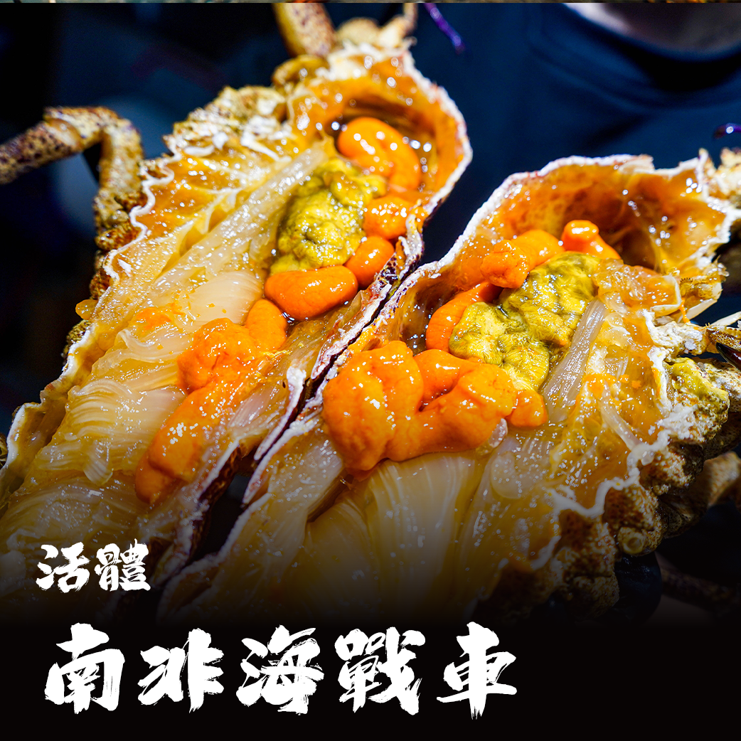 【活體】南非 海戰車/黑排蝦姑/蝦姑拍仔 ⚠️冷藏寄送，請與冷凍商品分開下單⚠️