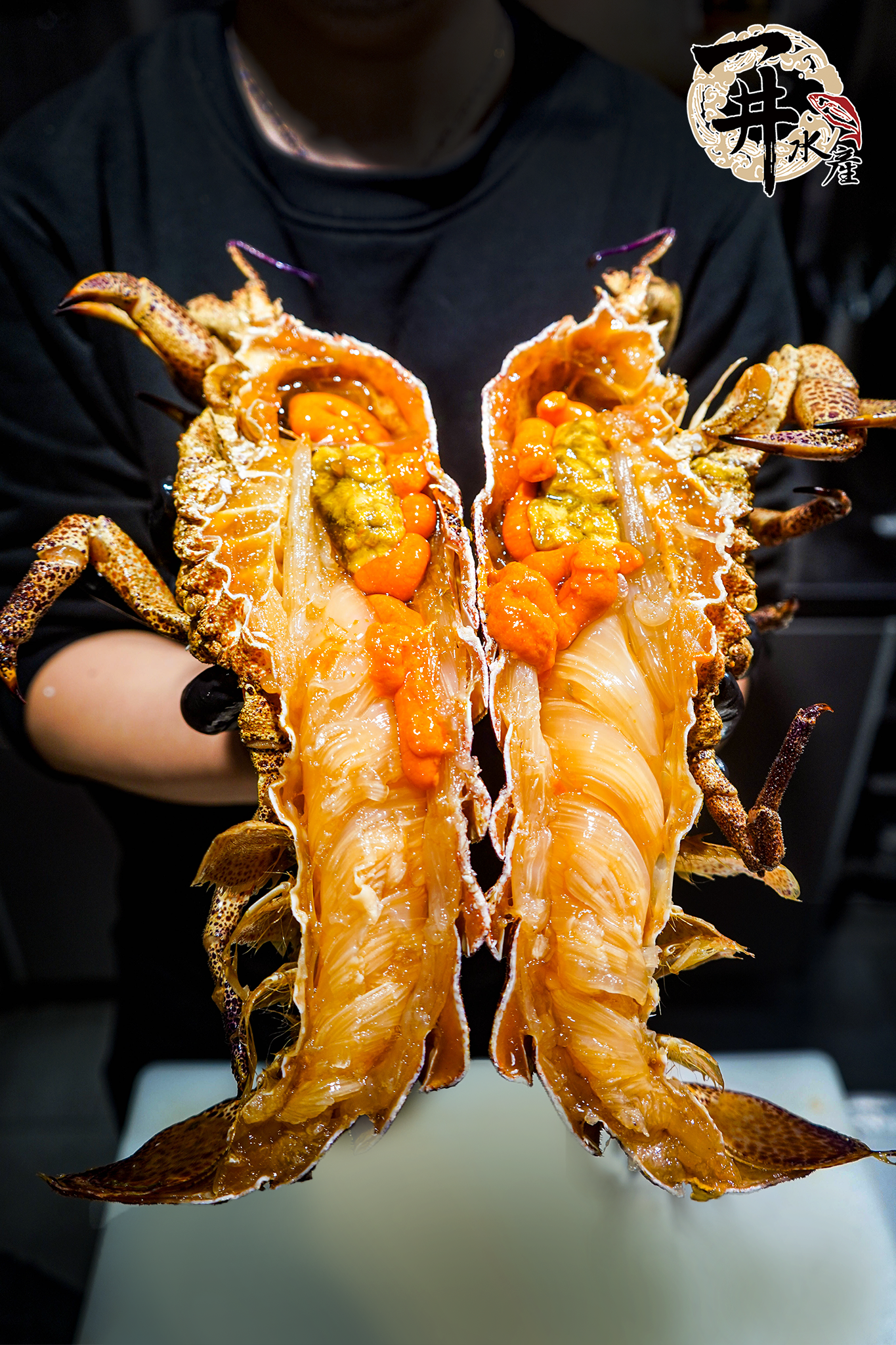 【活體】南非 海戰車/黑排蝦姑/蝦姑拍仔 ⚠️冷藏寄送，請與冷凍商品分開下單⚠️