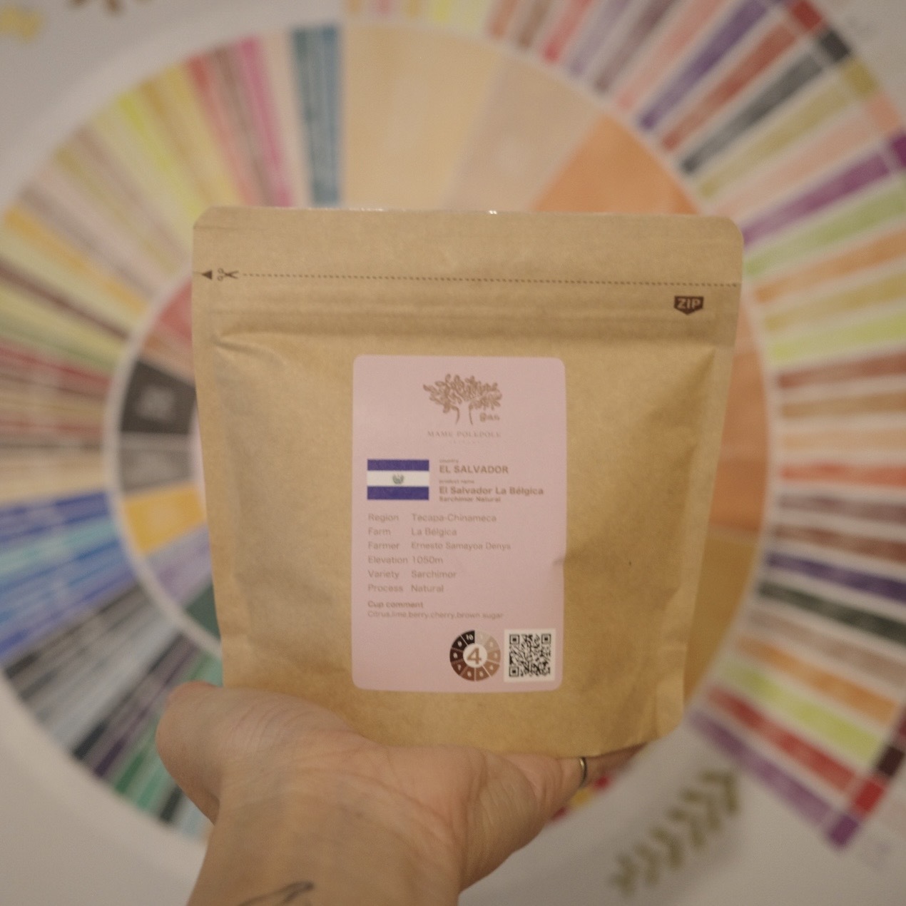 MAME POLEPOLE - 薩爾瓦多 La Belgica Sarchimor