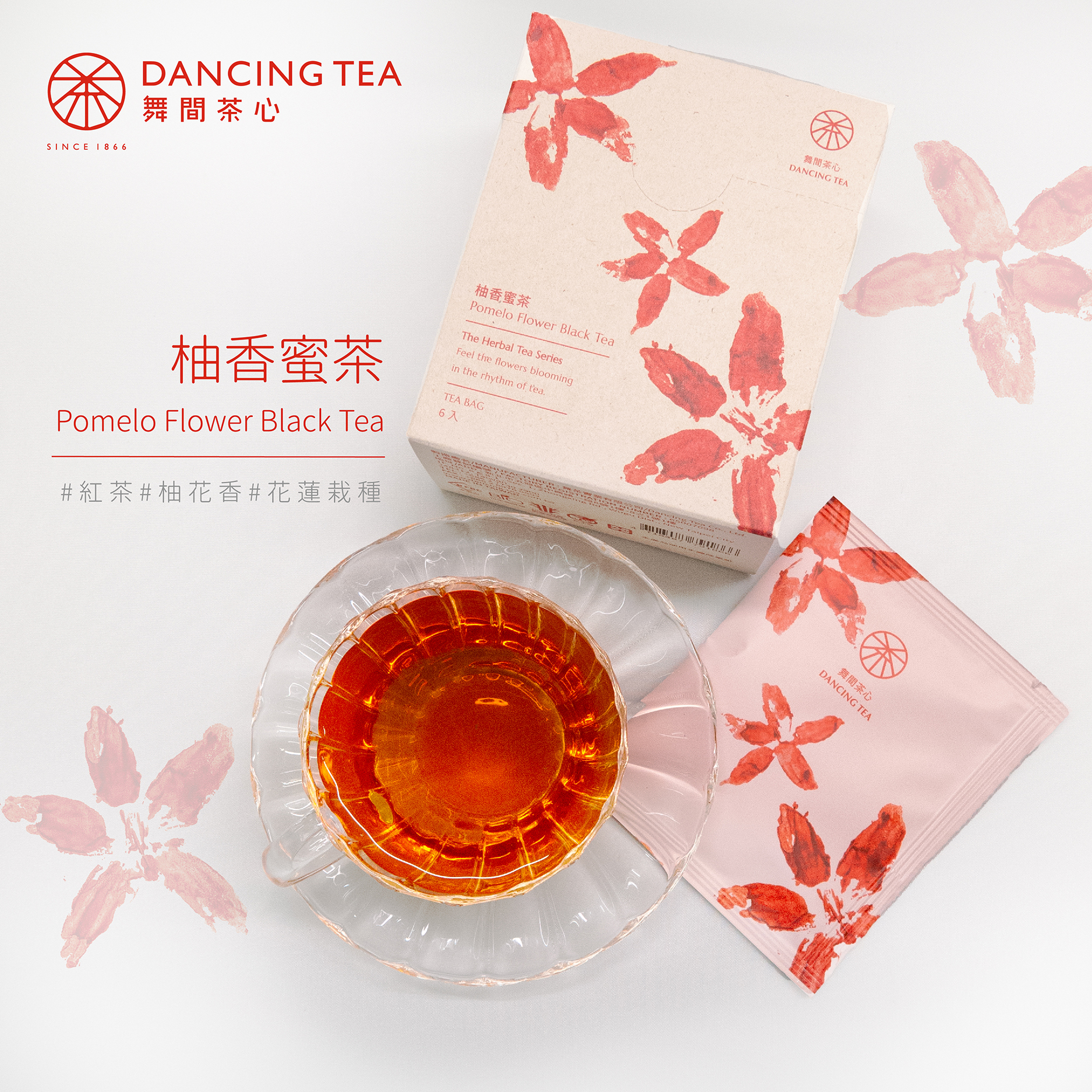 柚香蜜茶-原片立體茶包6入(獨立包)