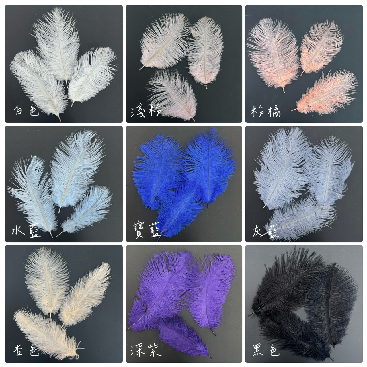 裝飾鴕鳥毛15-20公分