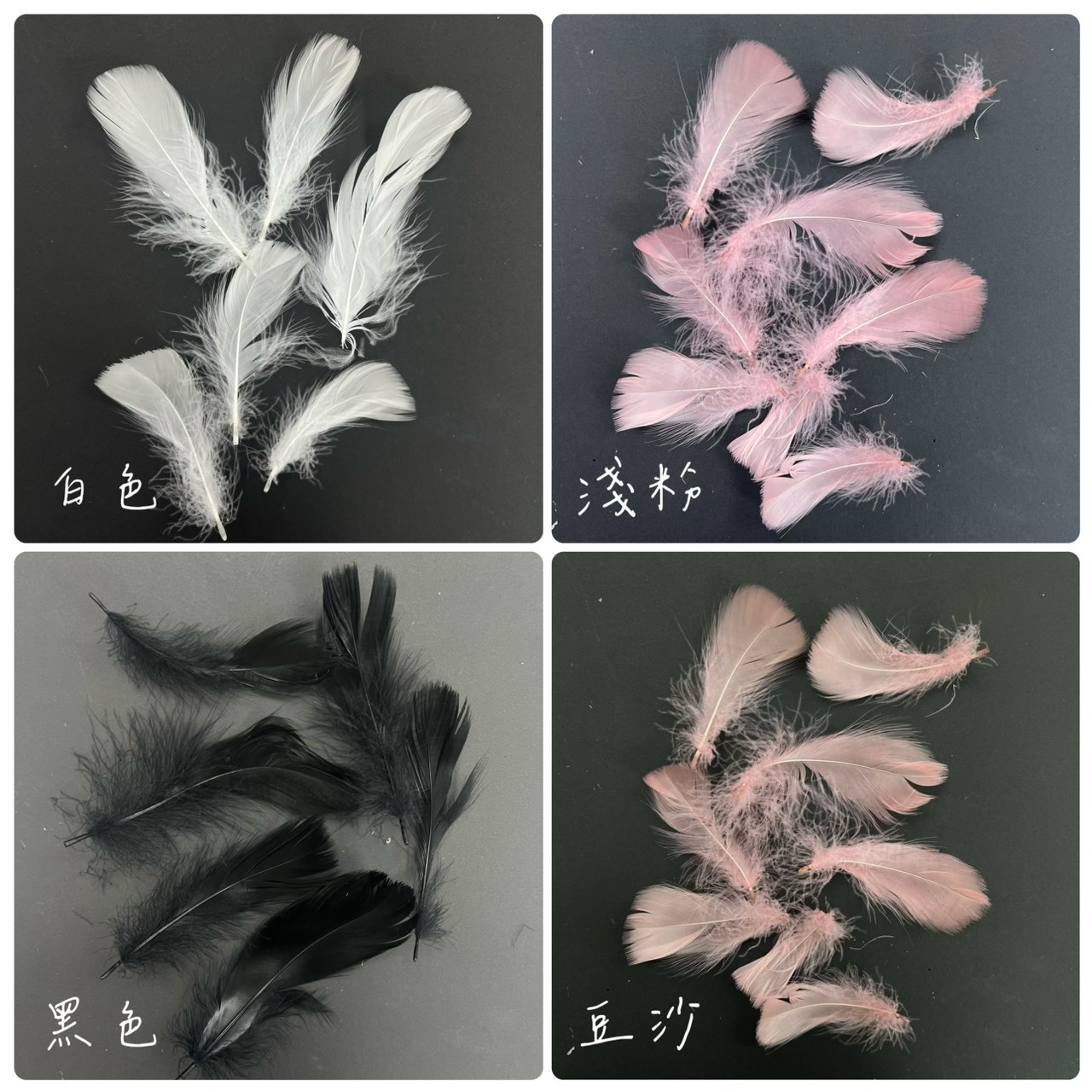 裝飾鵝毛10-15公分