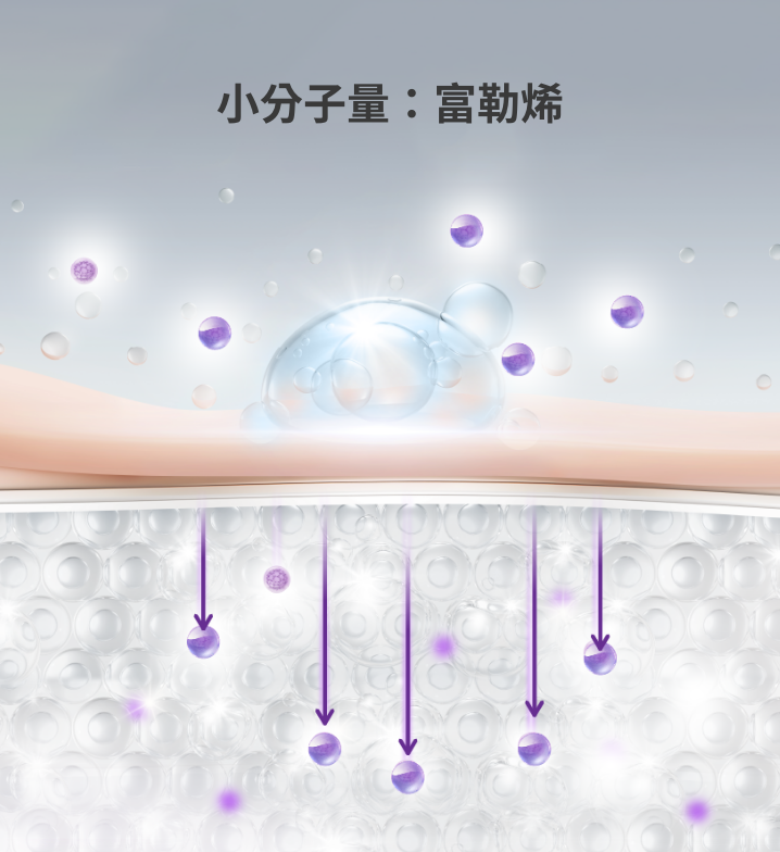 小分子更容易滲入、被肌膚吸收!