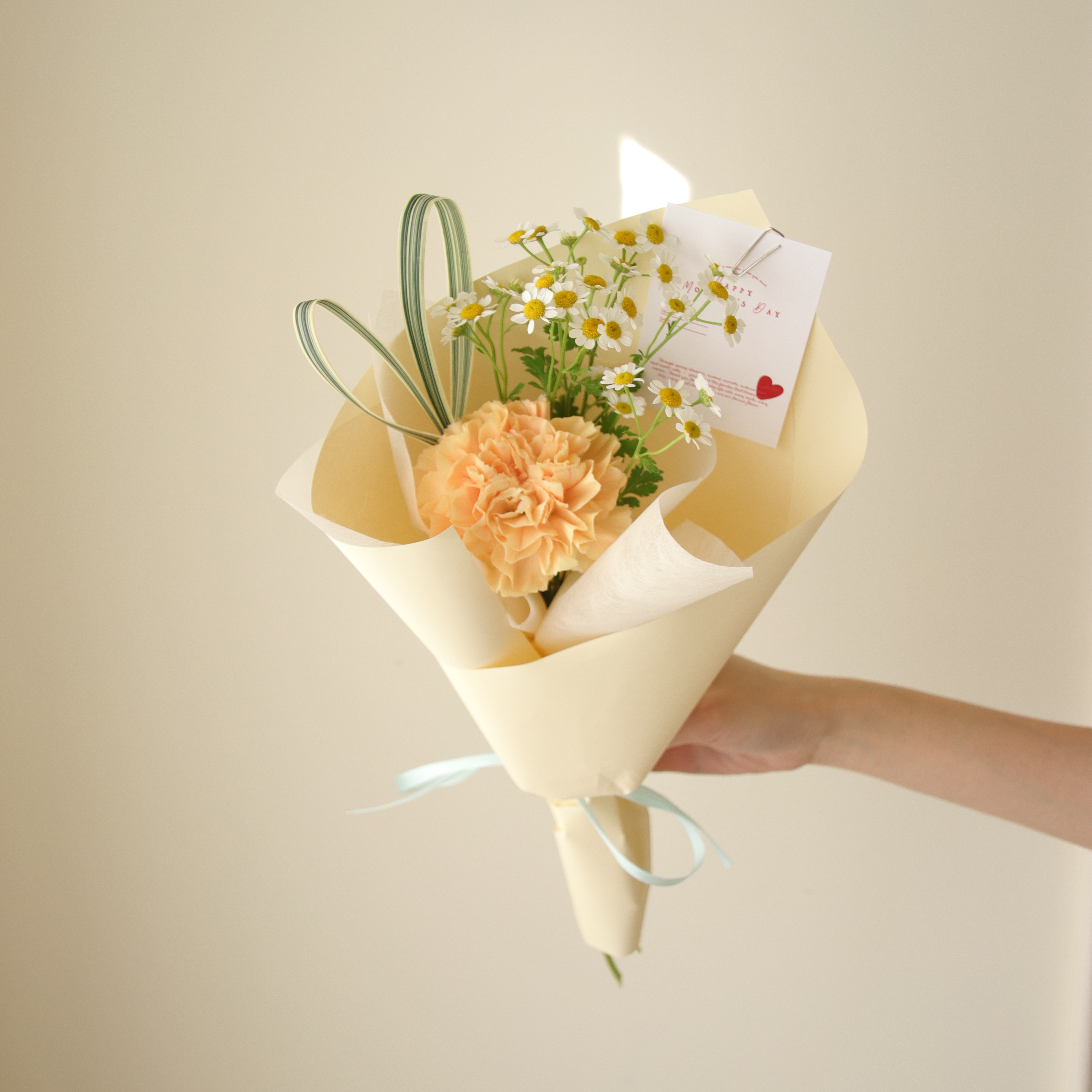 母親節限定花束-溫柔信差 康乃馨迷你花束 (此款有多色可選)