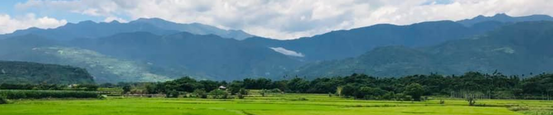 在花東縱谷的平地向中央山脈看出去的山景，山勢層疊起伏、生機勃勃。