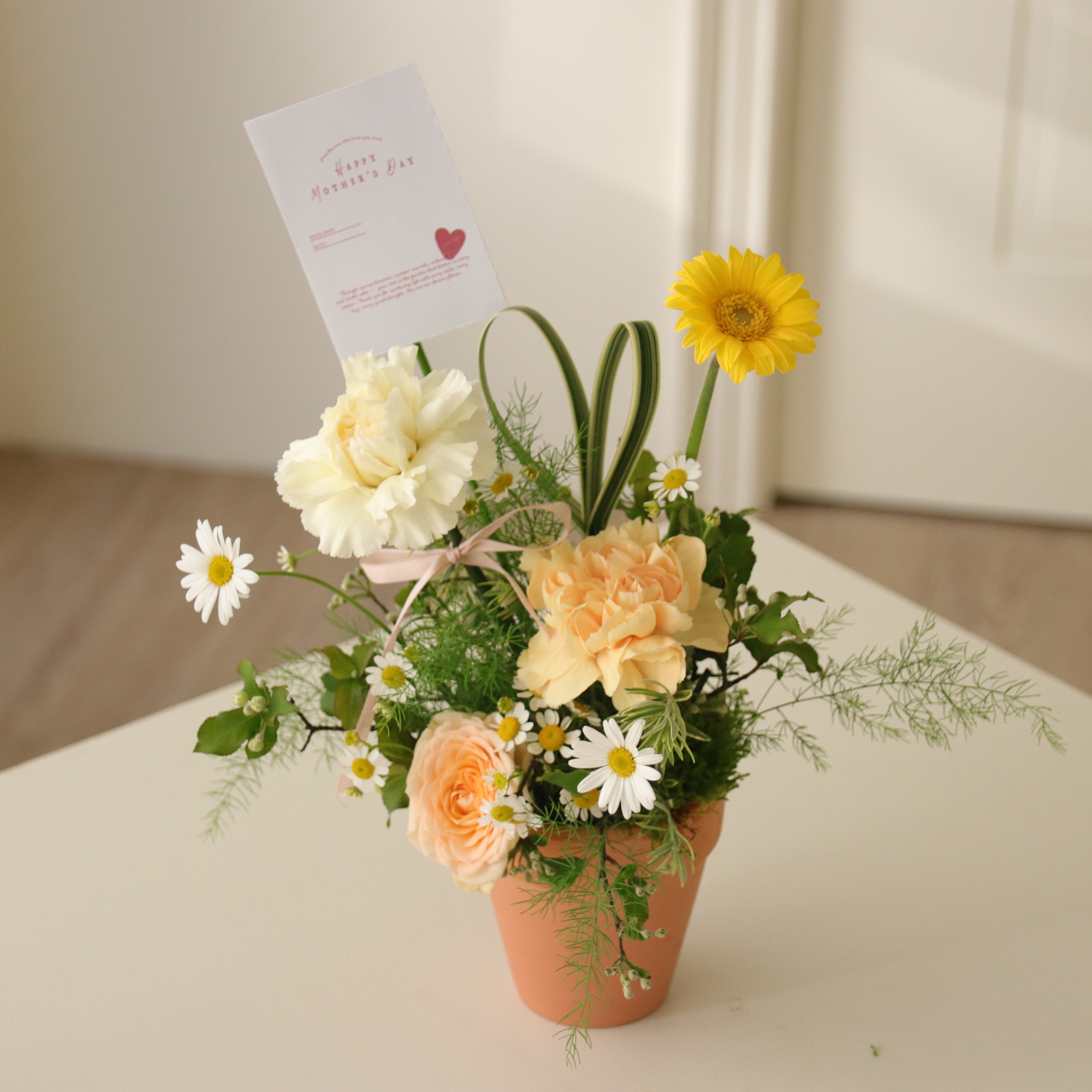 母親節限定花禮- 康乃馨小花盆