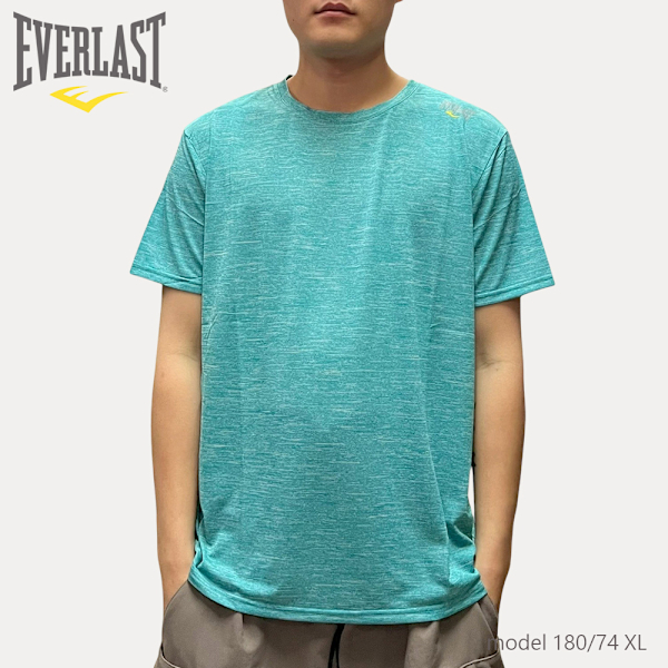 EVERLAST 短T 湖水綠 小LOGO 快速排汗 短袖 男 4221107071