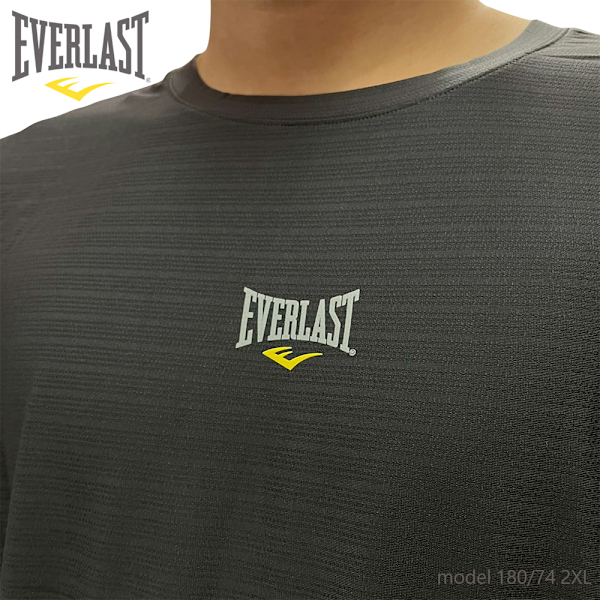 EVERLAST 短T 深灰 小LOGO 透氣 吸濕排汗 短袖 男 4221108510