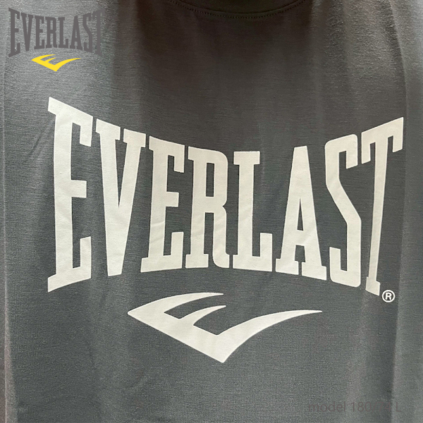 EVERLAST 短T 灰 大LOGO 基本款 運動 短袖 男 4221807110