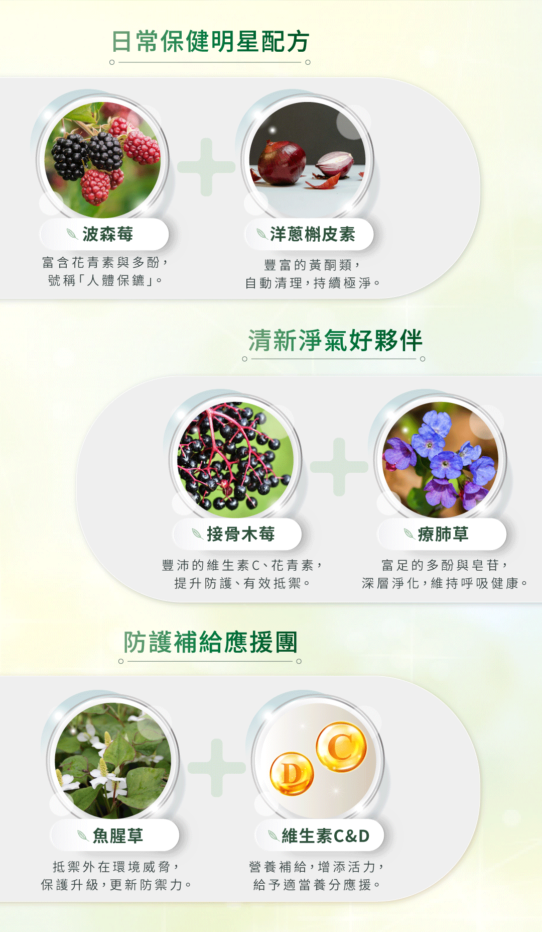 「草本成分示意：洋蔥槲皮素、波森莓、接骨木莓、療肺草、魚腥草、維生素C&D，訴求日常保養與天然來源」