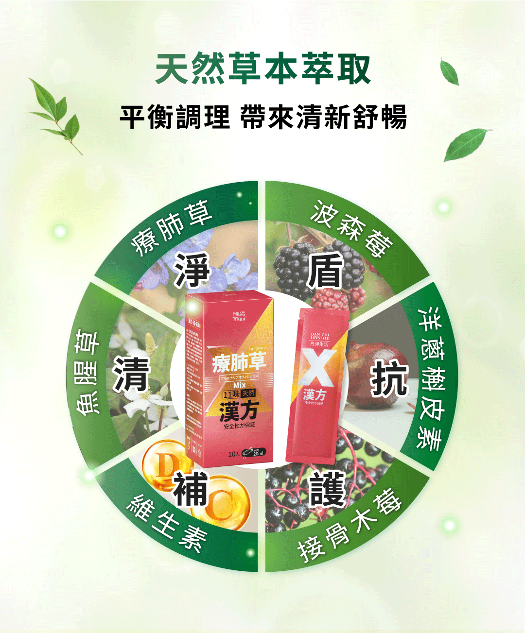 「療肺草飲核心草本組合示意圖，強調不同草本的協同效果，包含接骨木莓、薄荷等成分」