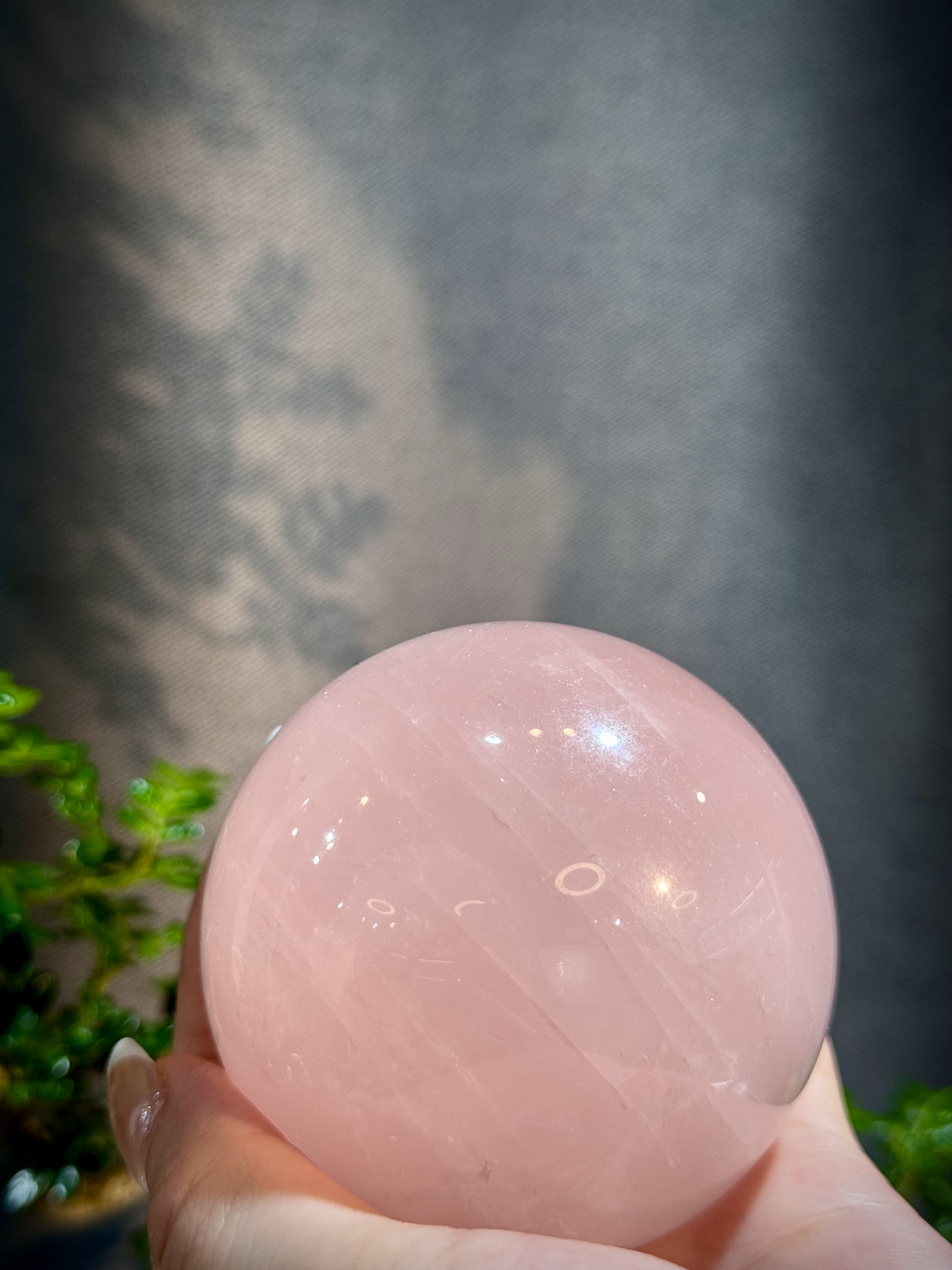 粉晶波波攞件 5012