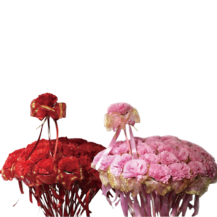 粉色紅色單支康乃馨花束,粉色紅色單枝康乃馨花束,Single carnation bouquet