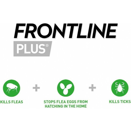 Frontline Plus - 殺蝨滴 貓用加強版3支裝 (可殺蝨、蝨蛋及牛蜱) {原裝行貨}