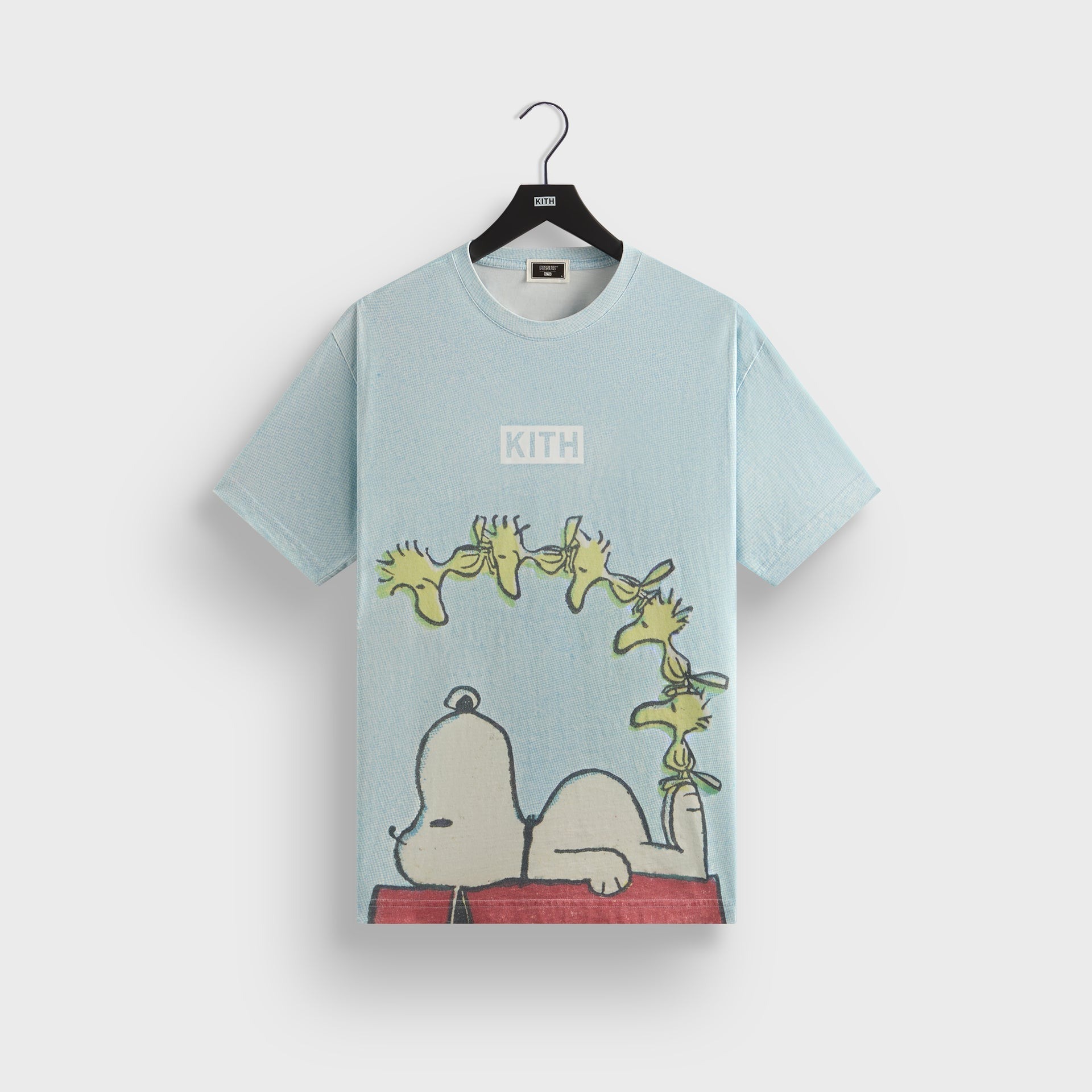 2025SS Kith for Peanuts Woodstock Doghouse Comic Vintage Tee Snoopy 史奴比 聯名 水洗 復古 短T 現貨