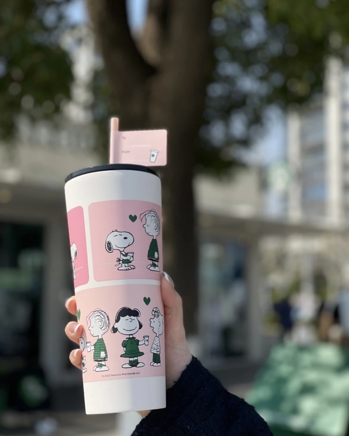 STARBUCKS x PEANUTS聯名系列 星巴克 SNOOPY史努比聯名 保溫杯 隨行杯 鑰匙圈