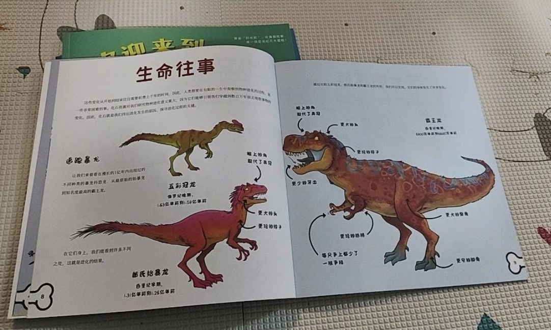 欢迎来到恐龙世界（4本）