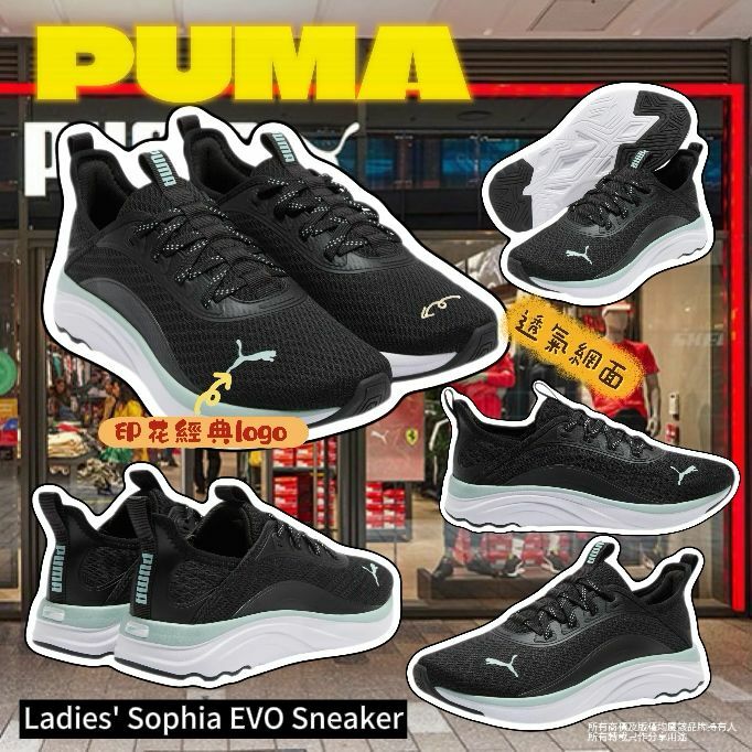【預購】PUMA Sophia EVO G041801 女裝運動鞋