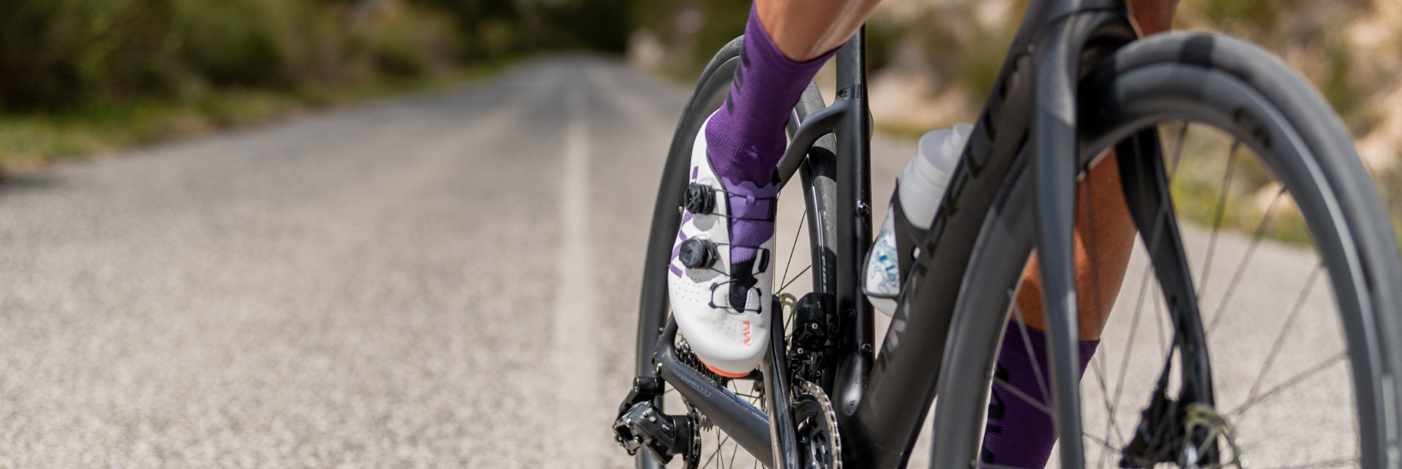 Northwave 新上市 單車襪