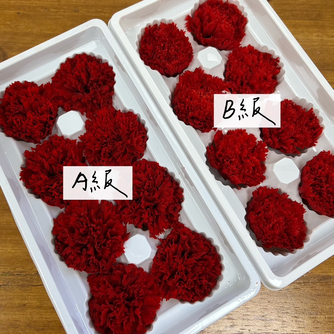 B級不凋康乃馨(8朵)-買一送一(請下兩盒)