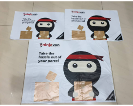 flyers 邮寄袋子 50pcs