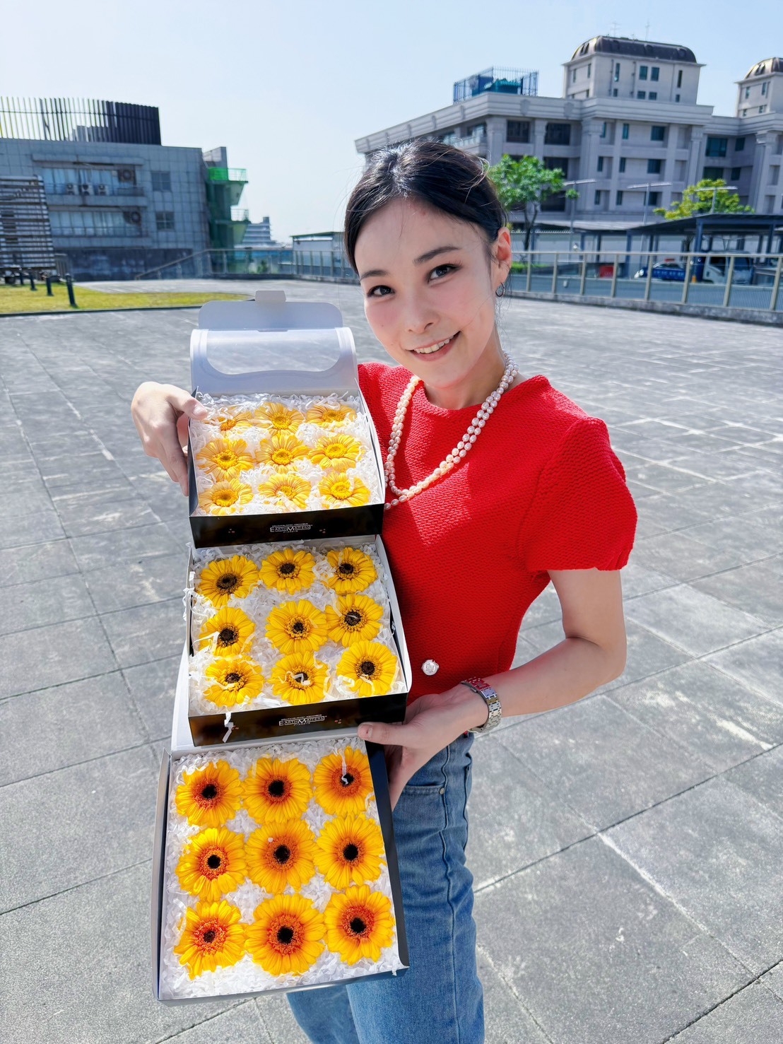 日本永生非洲菊