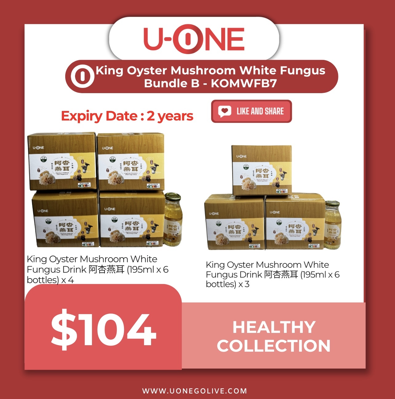King Oyster Mushroom White Fungus Bundle B - KOMWFB7