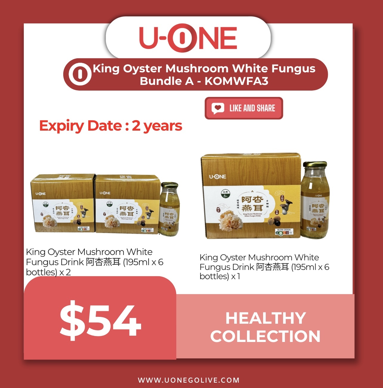 King Oyster Mushroom White Fungus Bundle A - KOMWFA3