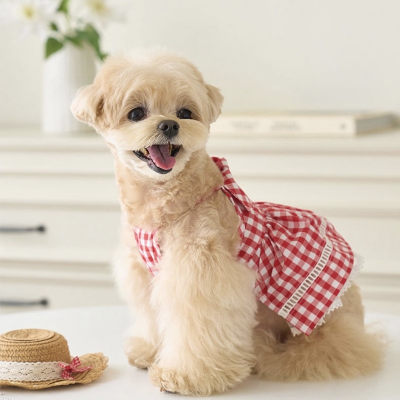 Love野餐紅白格短裙洋裝Picnic Love Bustier- It’s sunny outside