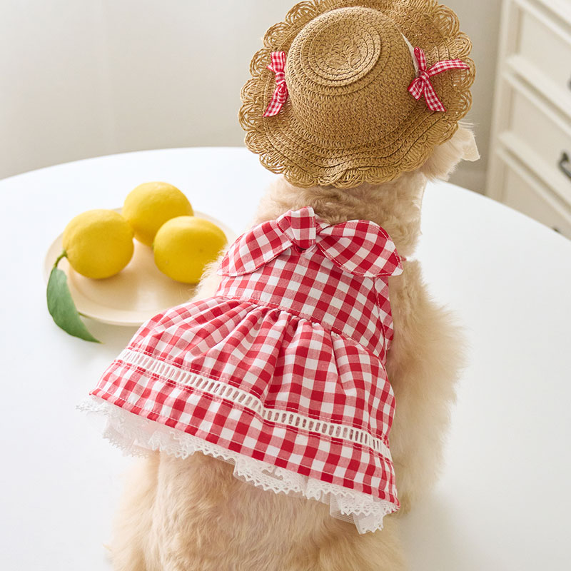 Love野餐紅白格短裙洋裝Picnic Love Bustier- It’s sunny outside