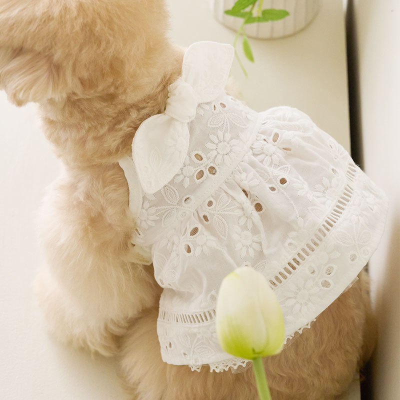 Love野餐繡花裙-白 Picnic Love Bustier (PunchingWhite)- It’s sunny outside