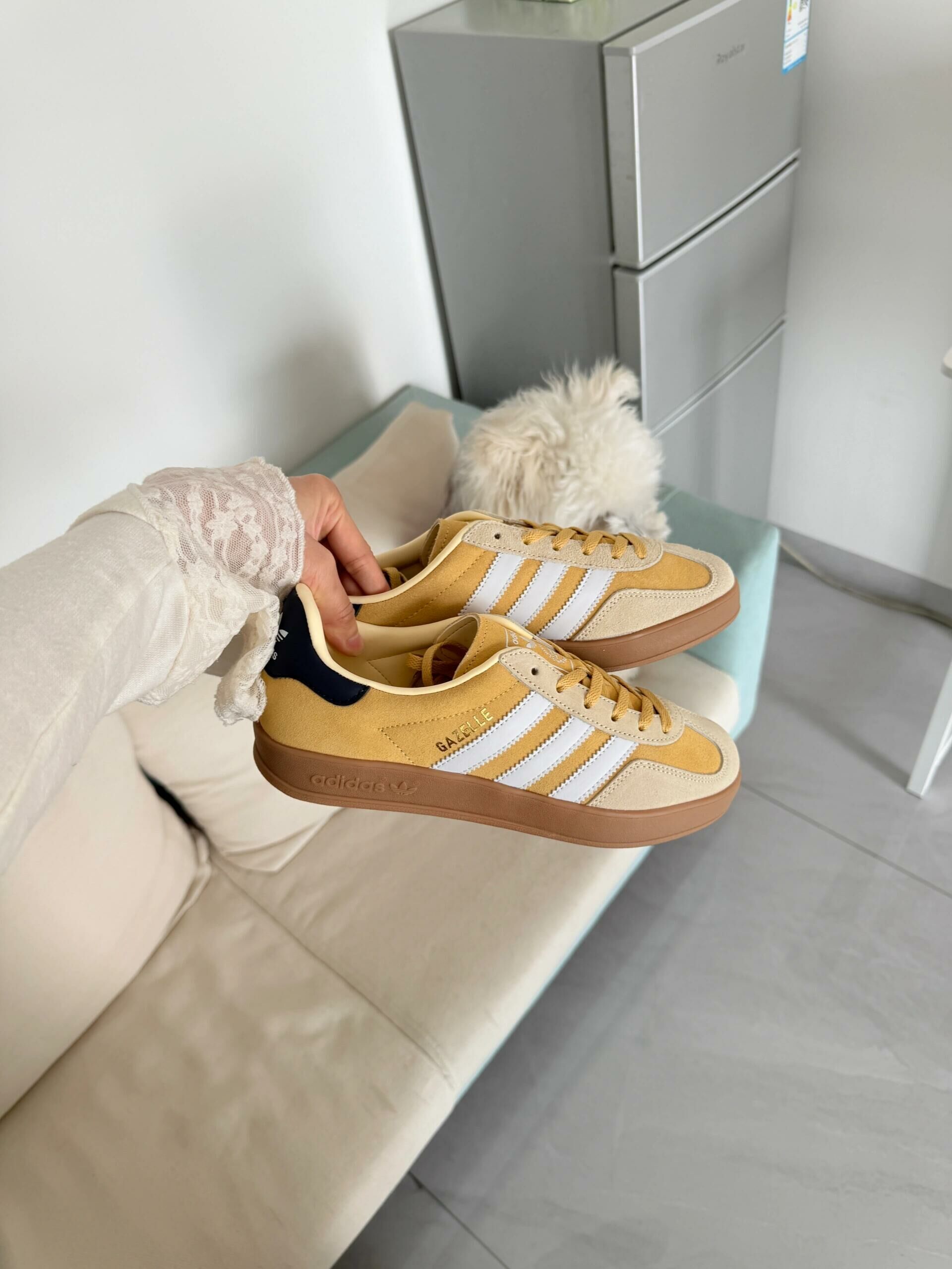 Adidas Originals Gazelle Indoor 蜂蜜布丁 黃色 黃黑色 小雞黃 麂皮 復古 德訓鞋 JI3523/預購