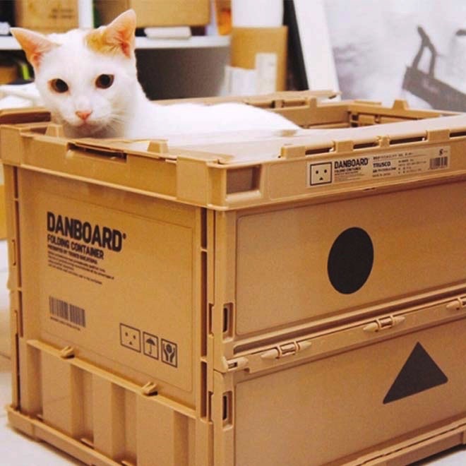 original.jpeg?1745117884