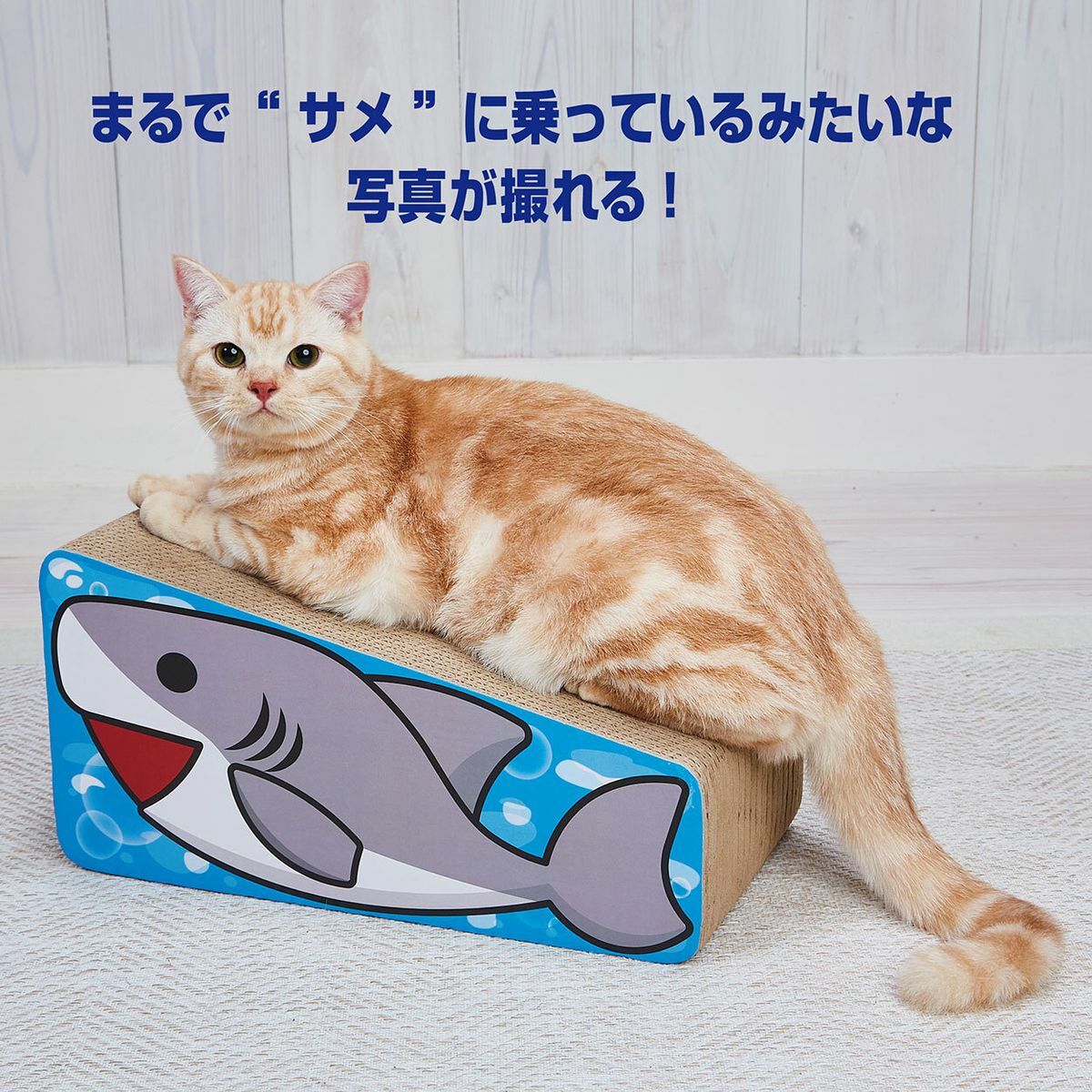 【新品8折】日本Petio立體雙面貓抓板 (鯊魚)