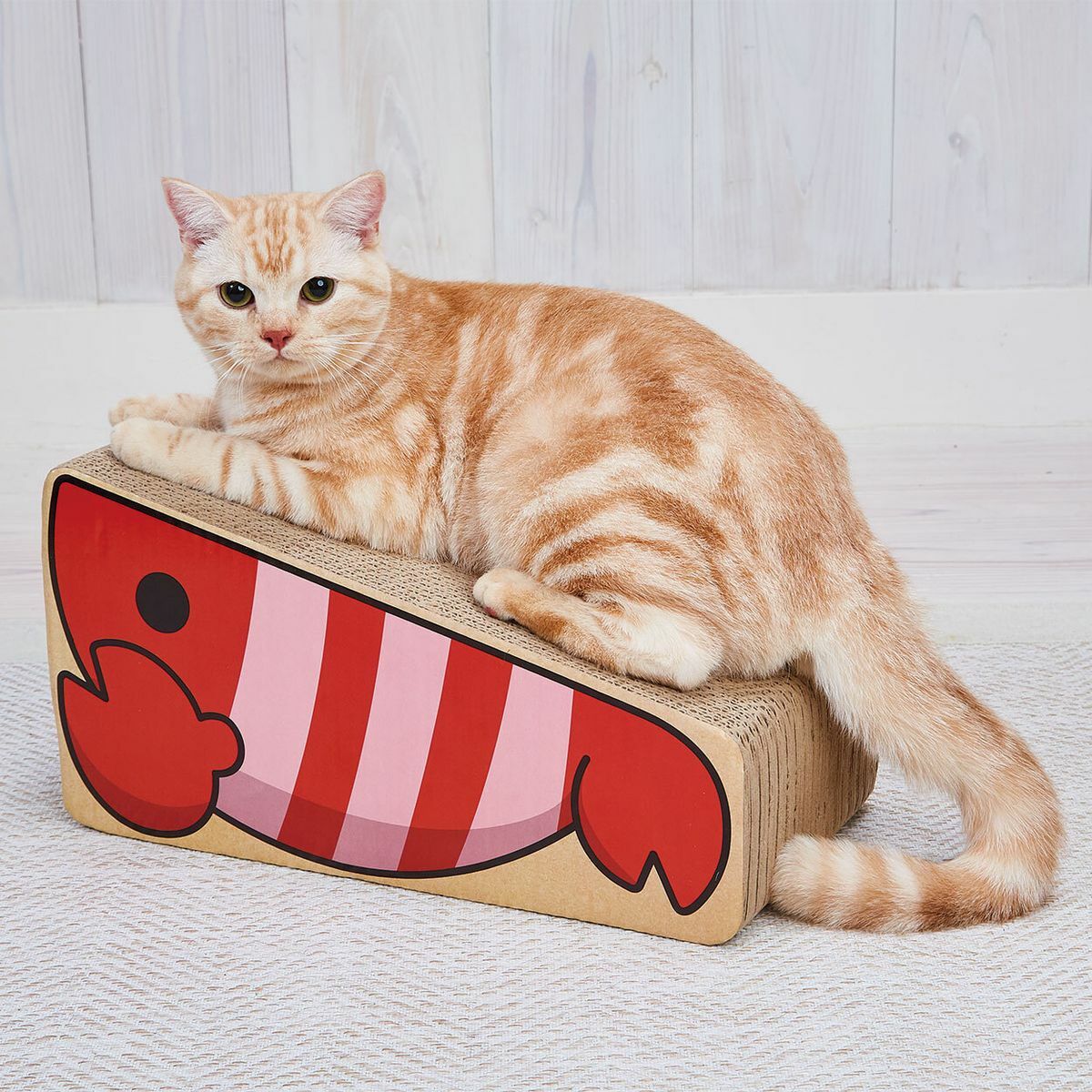 Petio立體雙面貓抓板 (龍蝦)