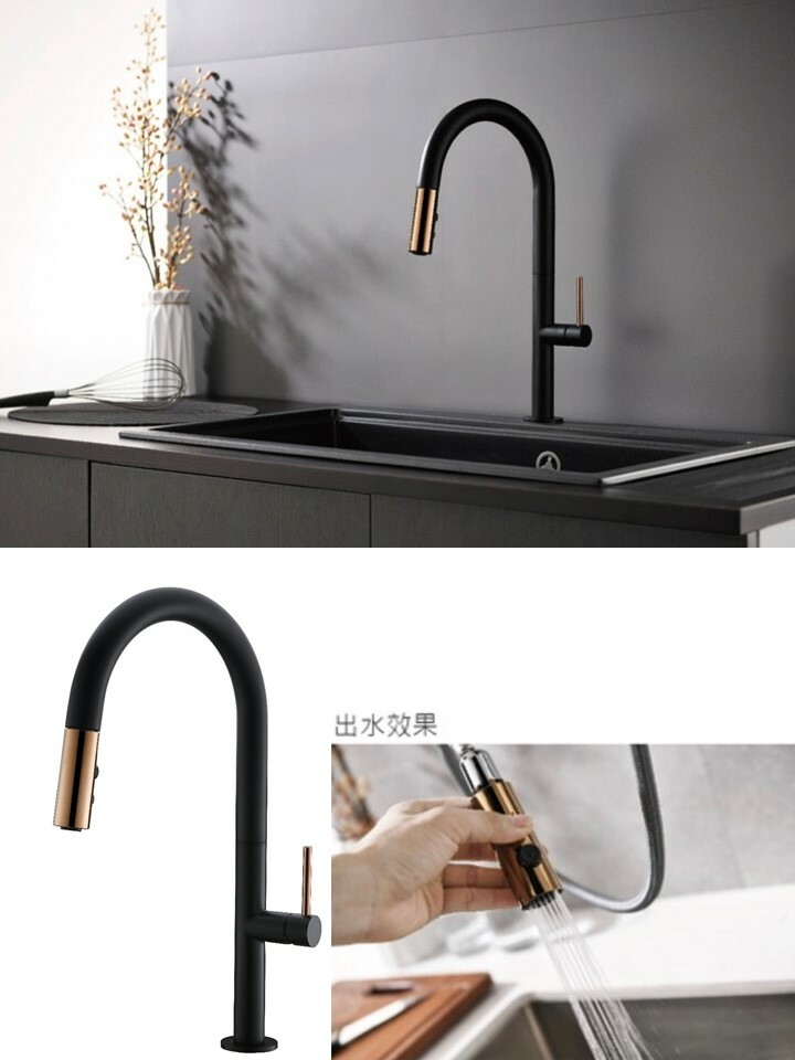 B1-112211-BG不銹鋼廚房伸縮龍頭