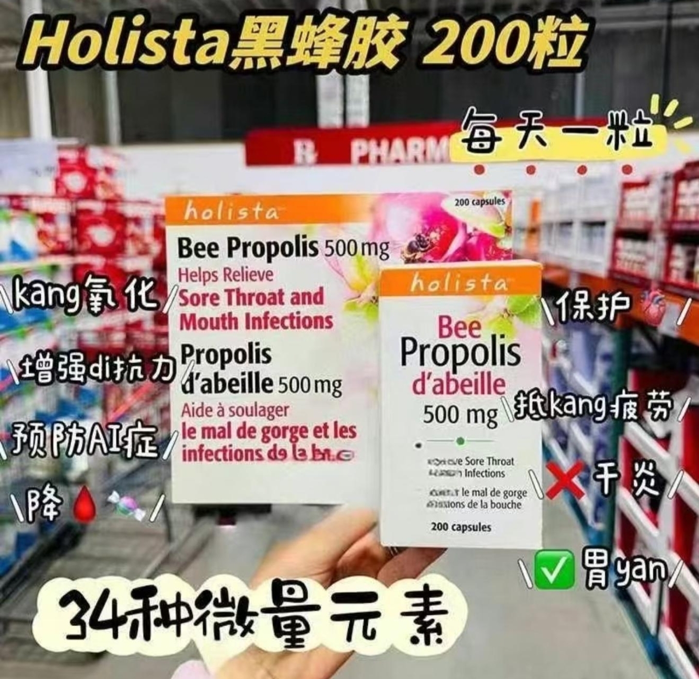 Cd5983  加拿大Holista黑蜂膠  $149/1 $290/2