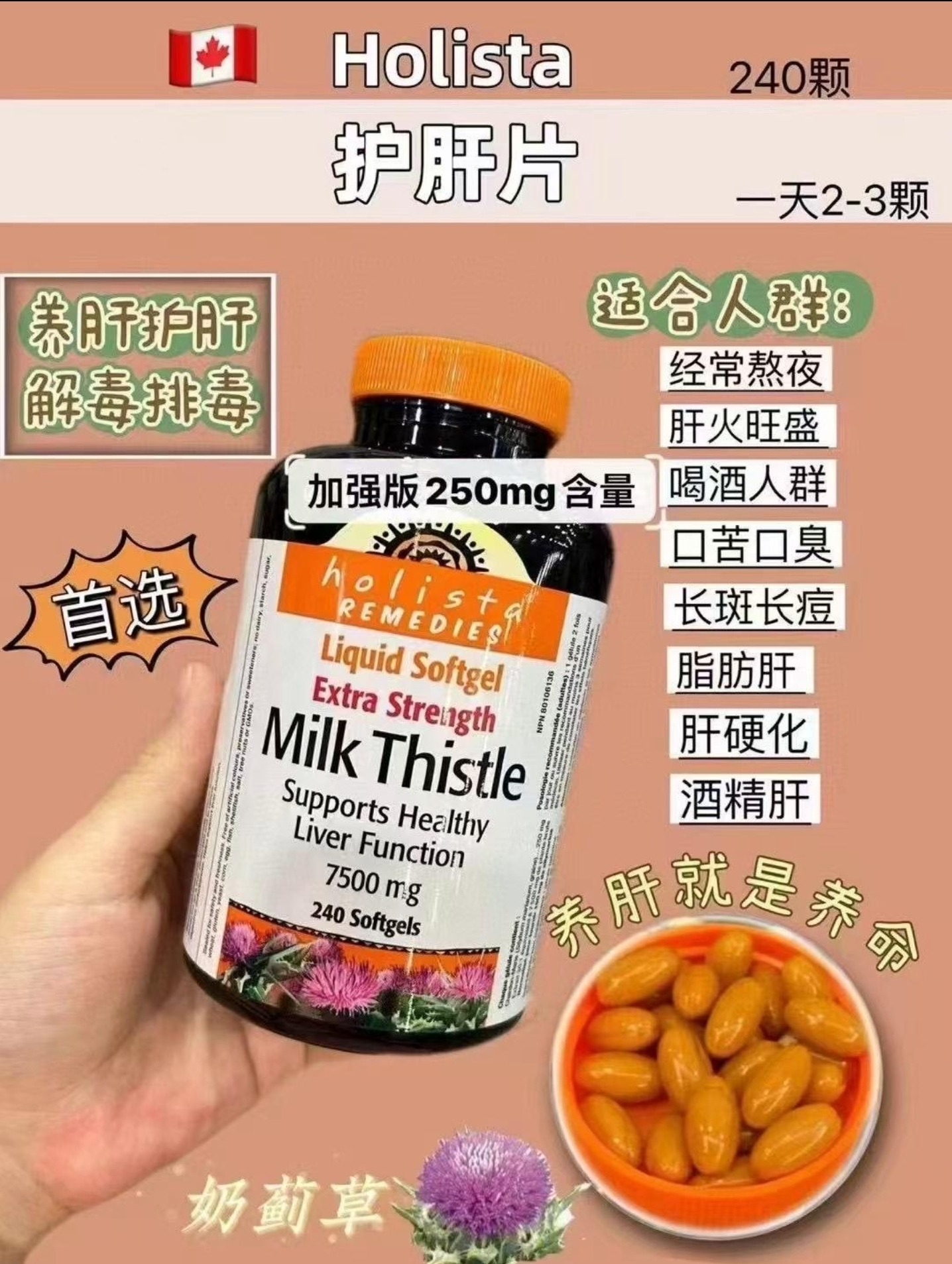 Cd5984  Holista 護肝片  $189/1 $370/2