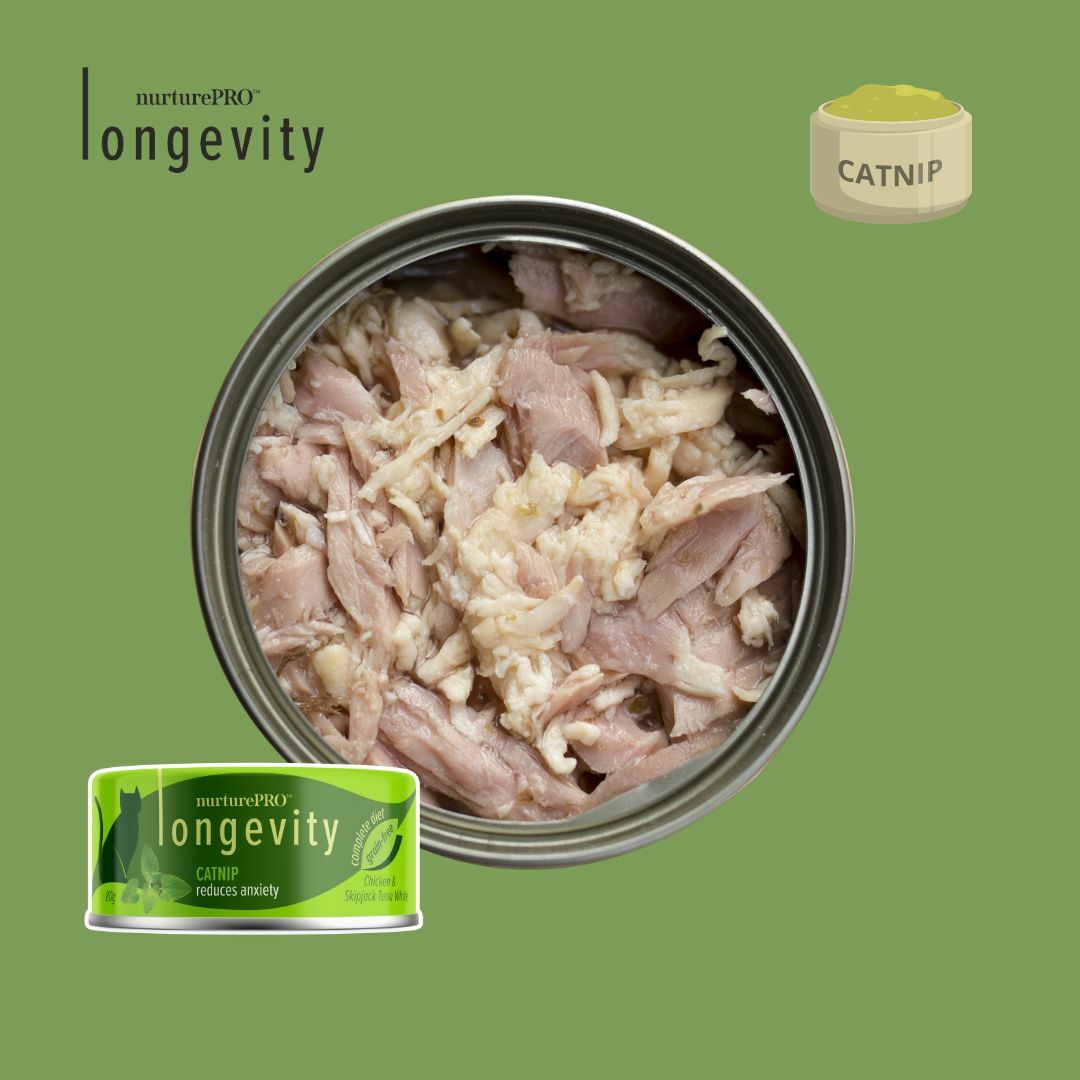 (VIP) Longevity 綠茶肉絲 貓草情緒舒緩主食罐 80g (Exp: Aug-2027)