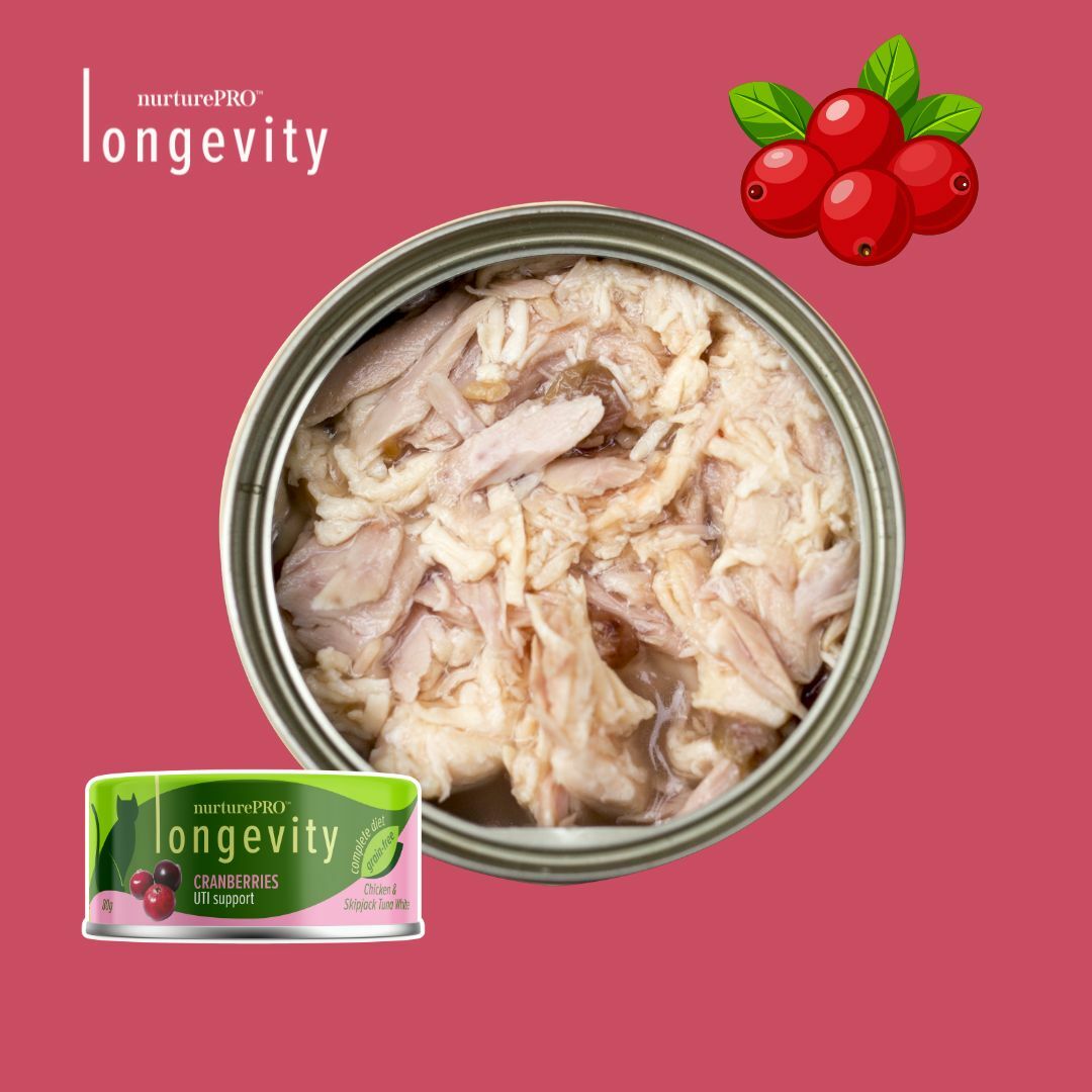 (VIP) Longevity 綠茶肉絲 小紅莓尿道健康主食罐 80g (Exp: Sep-2027)