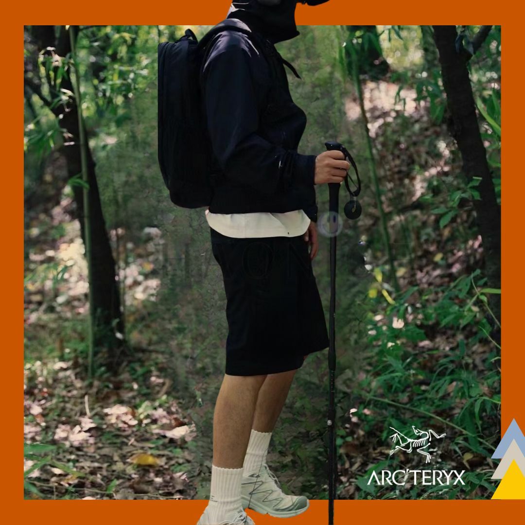 【NICE 歐美日韓代購】24SS ARC'TERYX始祖鳥 新款🔥經典logo圖樣短褲 運動褲 休閒褲 棉褲