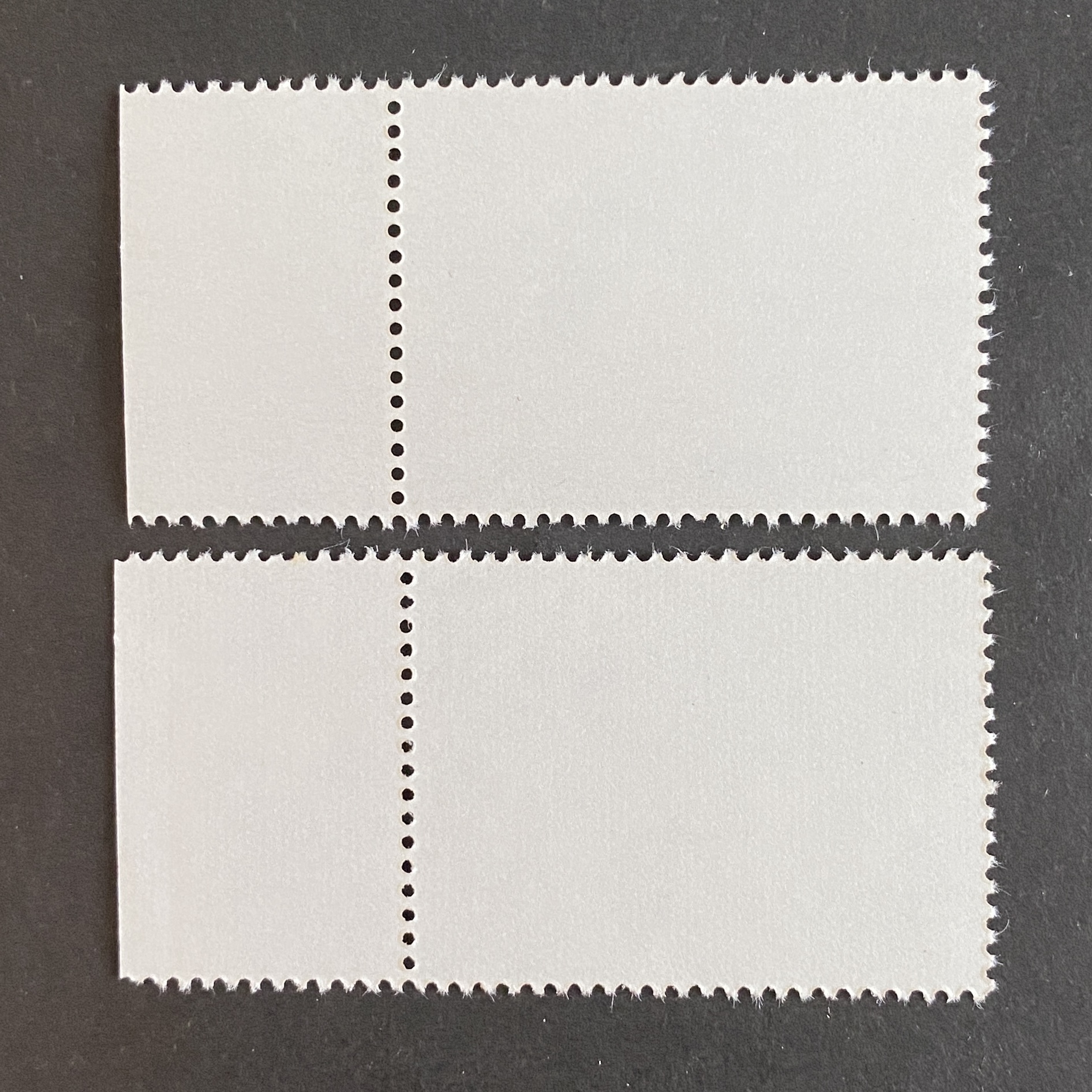 1993-3 China Stamps, Wild Camels